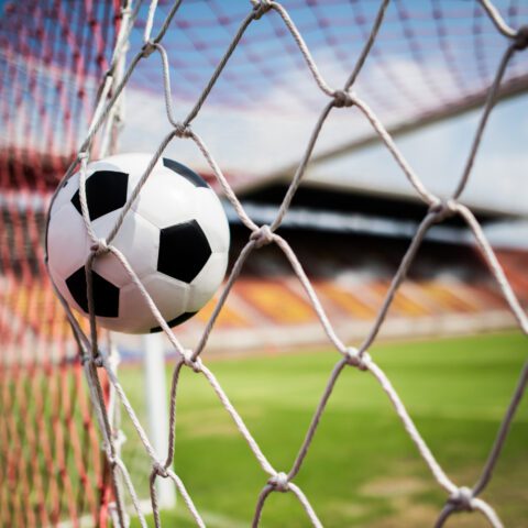 Sarina Wiegman. A picture of a football hitting the back of the net